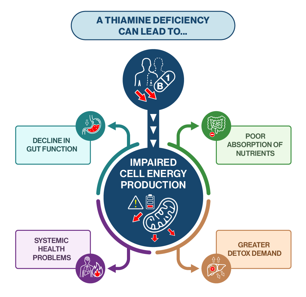 Thiamine deficiency leads to