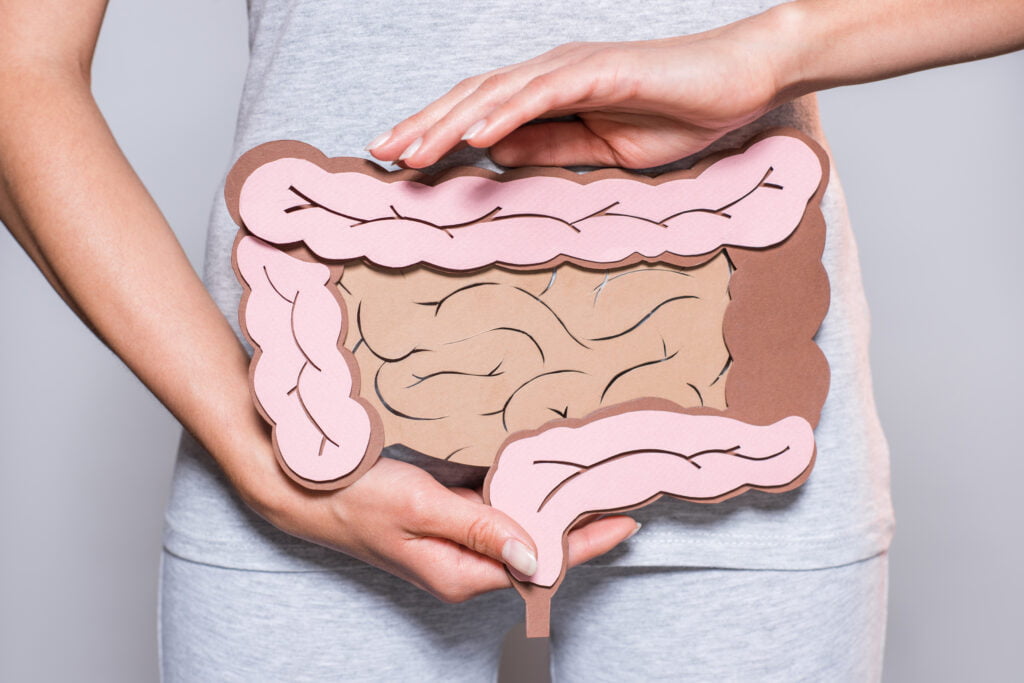 Partial View Of Woman Holding Paper Made Large Intestine On Grey Background
