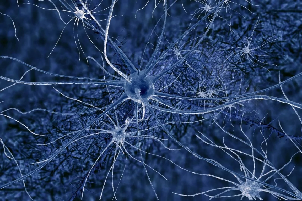 Neuron Medium